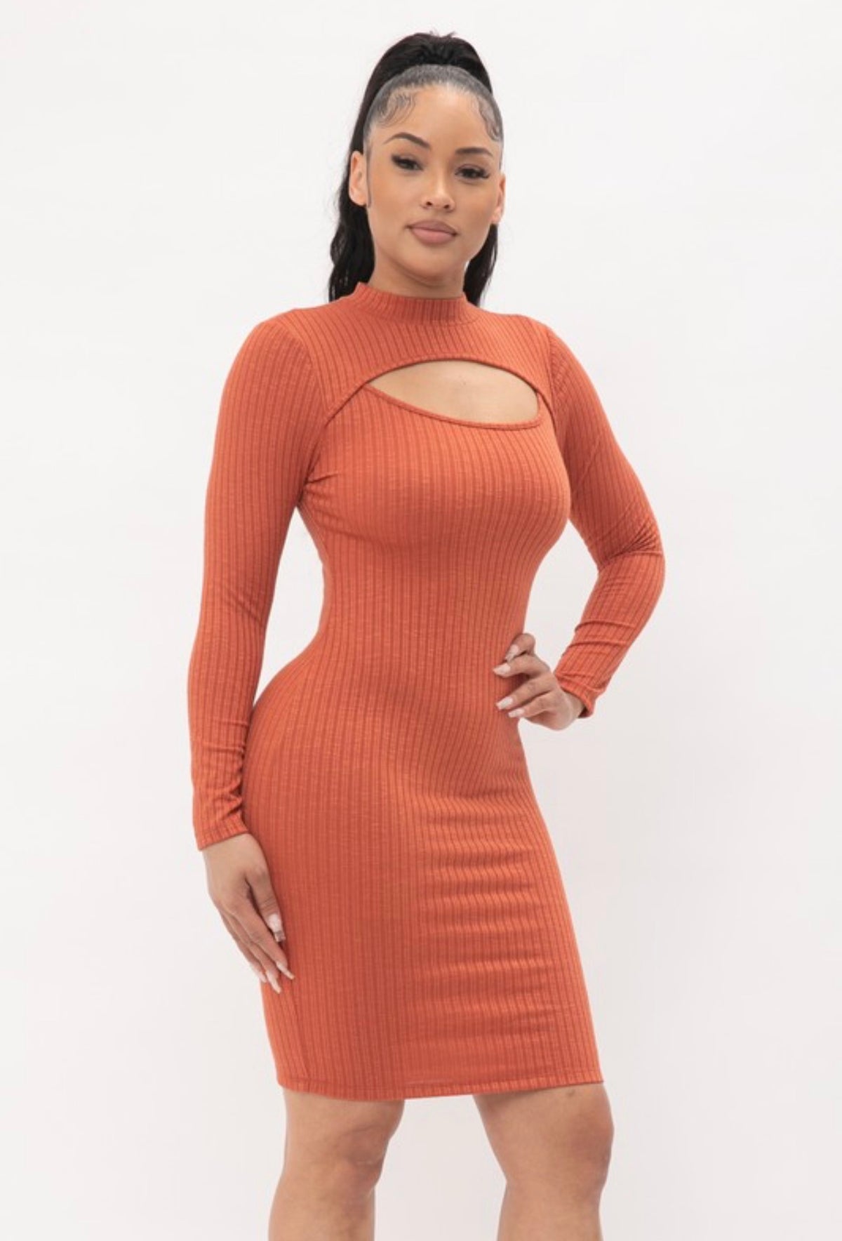 Rust Ribbed Sweater Dress