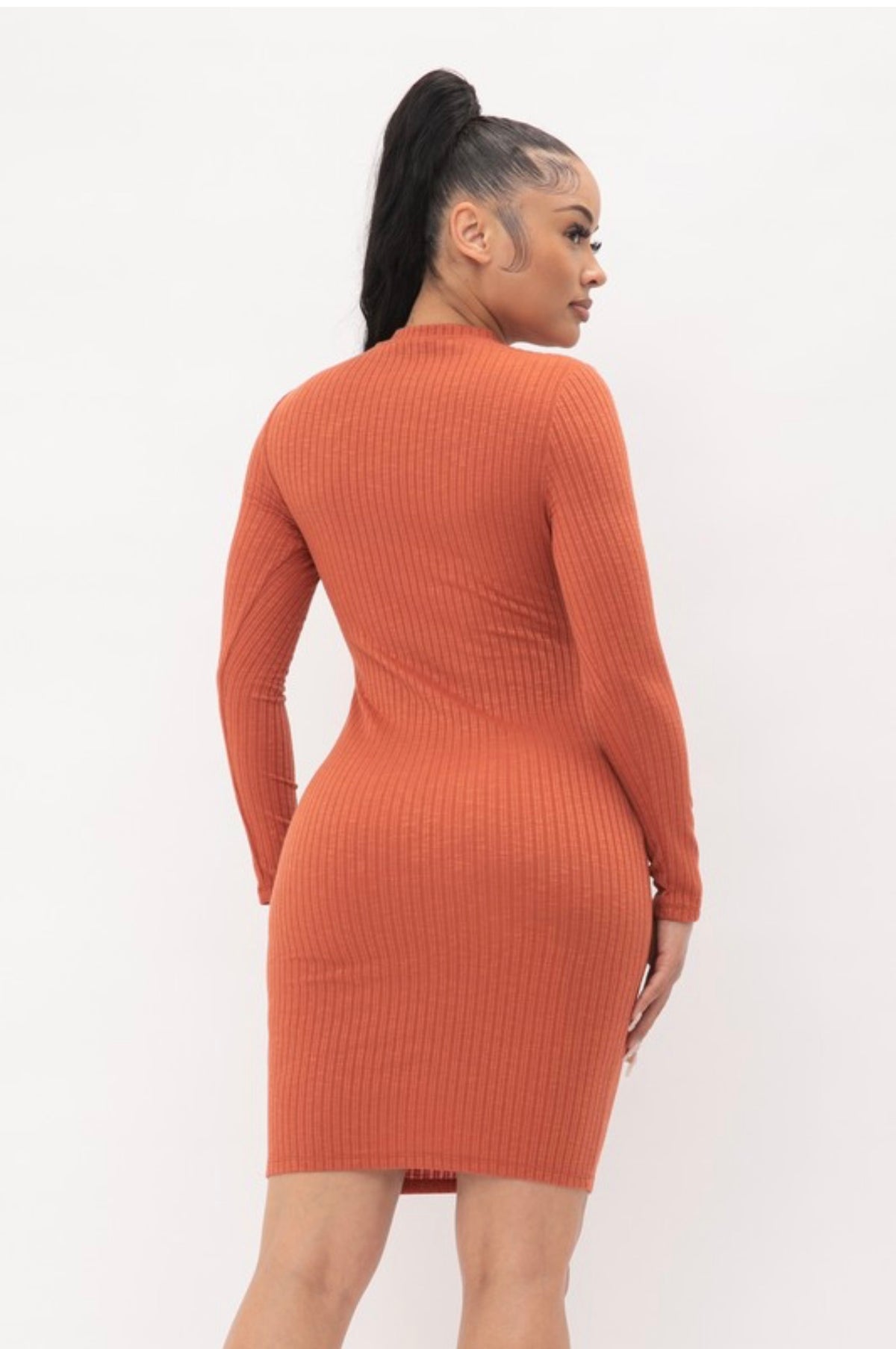 Rust Ribbed Sweater Dress